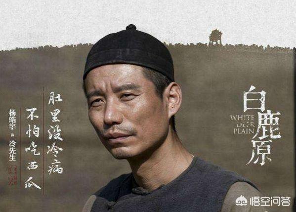 白鹿原停播:电视剧《白鹿原》为什么收视率不高呢？