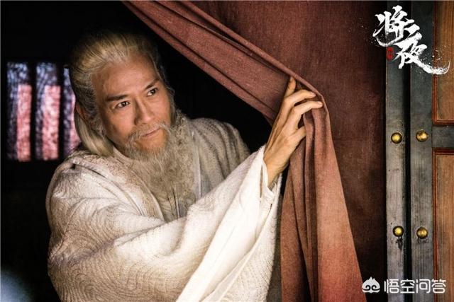将夜的演员:电视剧《将夜》中孟子义饰演的道痴叶红鱼，你觉得怎么样？