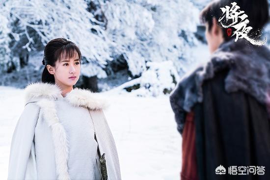 将夜的演员:电视剧《将夜》中孟子义饰演的道痴叶红鱼，你觉得怎么样？