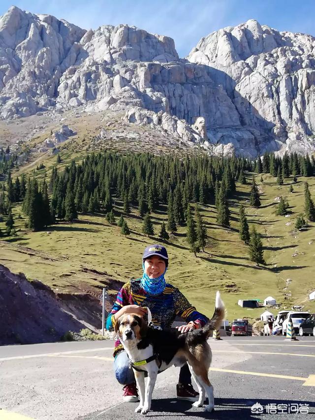 南美林猫的微博:女生，打算一个人旅行，有什么建议吗？