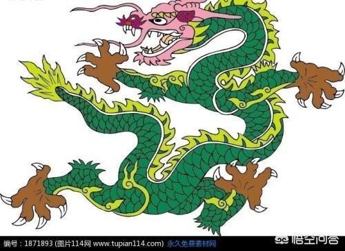 中国有多少条龙，“龙文化”是如何一步一步在中华大地上传承下来的