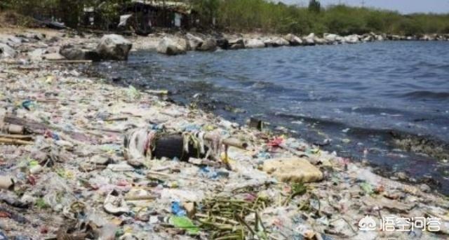 海洋垃圾能否变废为宝，有没有办法把海洋垃圾变废为宝