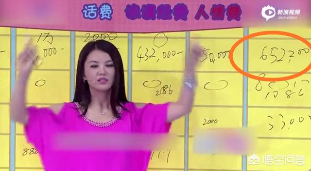 李湘简历:主持人李湘现在的收入来源是什么？