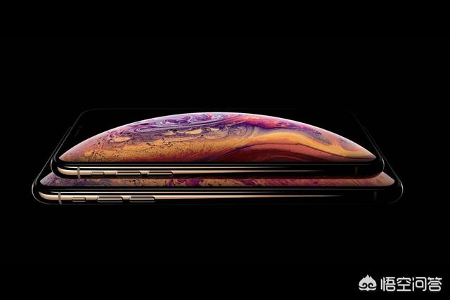 黄贯中藏獒值1200万:月薪两三千却用着iPhone xs max的人是什么心态？