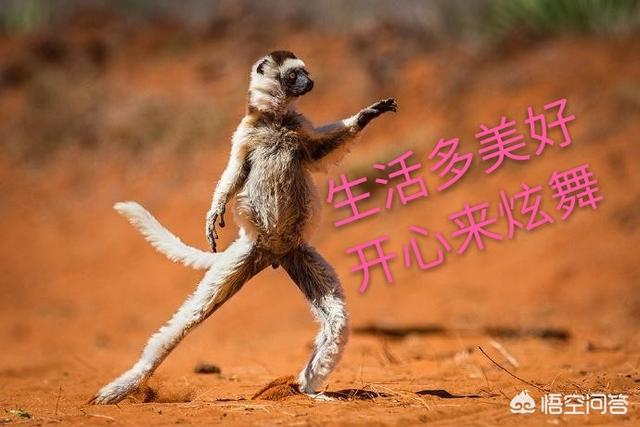 换个网名换个心情的微信名字:有些人频繁换头像、换网名是什么心理？