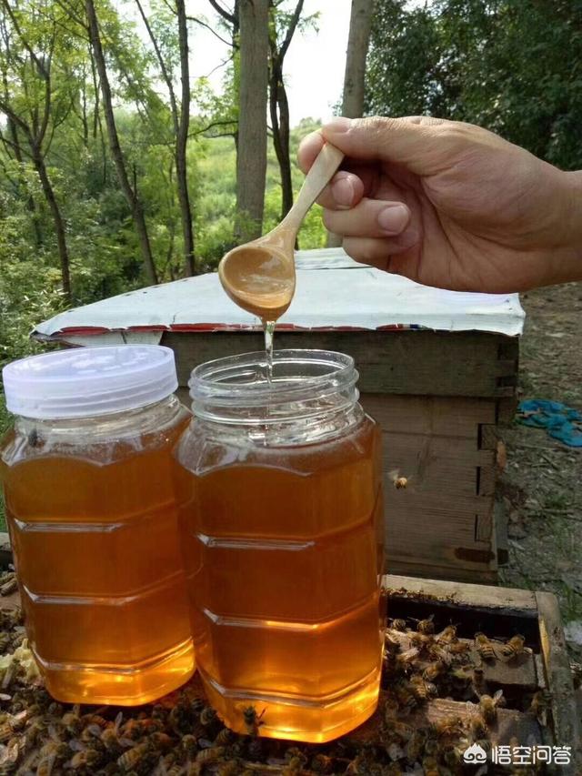 蜜蜂怕什么怎么驱赶,洞里面的蜜蜂怎么驱赶出来？