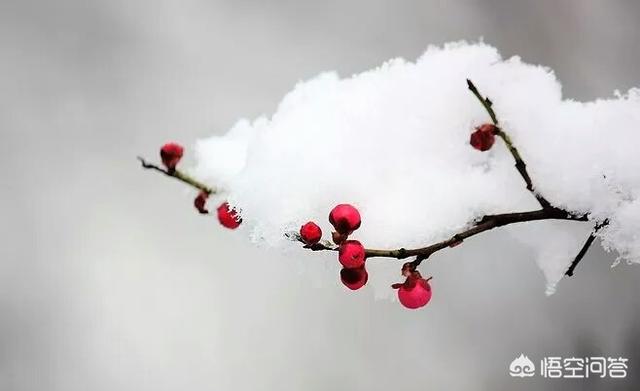 筐蛇尾值钱吗:人这一辈子，什么最值钱？
