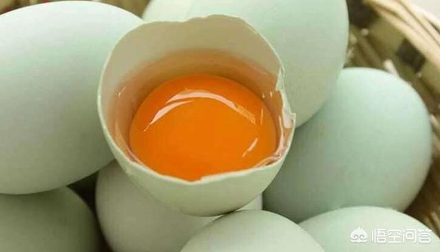绿壳鸡蛋比黄壳鸡蛋好在哪里，绿壳鸡蛋和普通鸡蛋，该如何选择哪个营养价值高