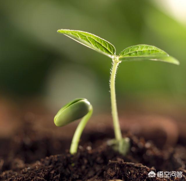 为什么有人说时间长了什么都淡了,你怎么看？