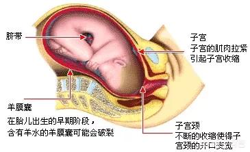 孕妇怀胎几月才能分娩:怀孕是从什么时候开始的？