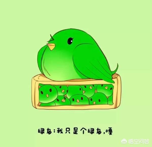 还有什么好看的耽美甜文吗？