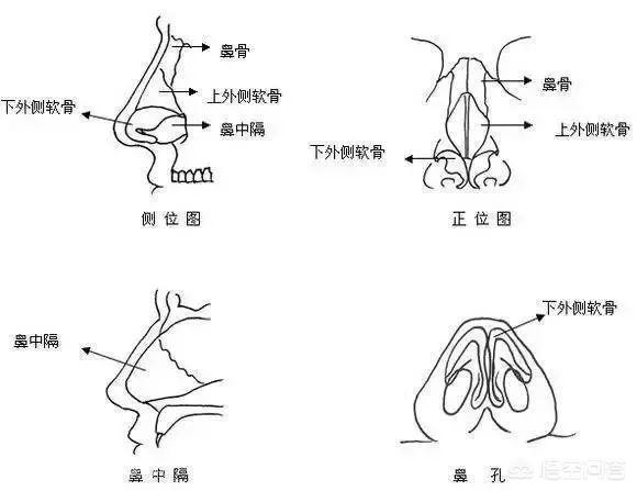 后鼻腔溃疡:鼻腔溃疡是什么原因 什么原因会导致鼻子溃烂？
