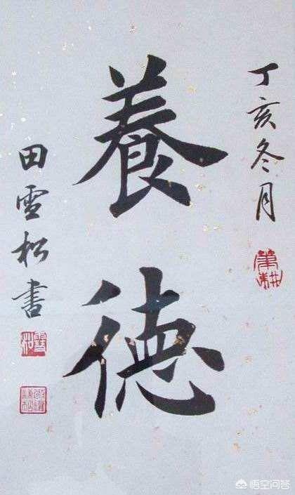 田子琳:田雪松的书法怎么样能否成为下一个田英章