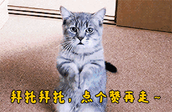 吉普赛人:吉普赛人流落世界各地，为什么他们没有自己的国家？