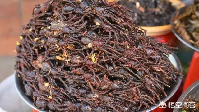 油炸毒蜘蛛:油炸毒蜘蛛 有什么食物是外国人吃，中国人却不吃的？