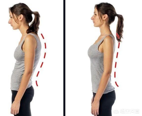 头条问答 - 怎样能让背部比较直?(6个回答)