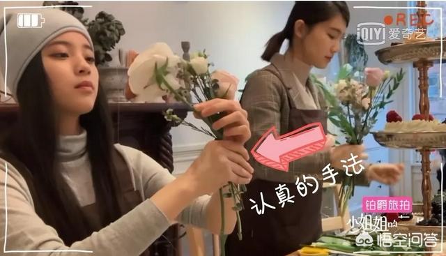 欧阳娜娜个人资料简介:欧阳娜娜放弃深造小提琴，而提前进入娱乐圈，你怎么看？