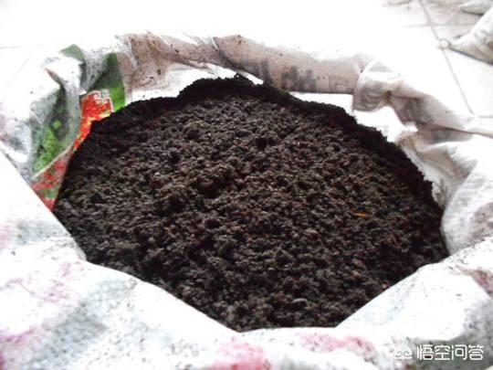 花土里加火山石:两个问题，自制花土用什么材料，花盆土板结什么原因？