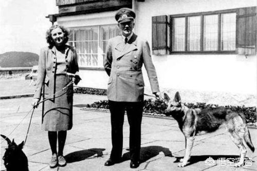 德国未解之谜真实案件，希特勒当年到底有没有死有何依据