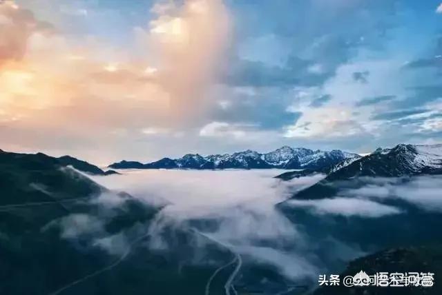 春晚美丽的女主持人里,你最喜欢哪一位呢？是倪萍、周涛还是董卿？