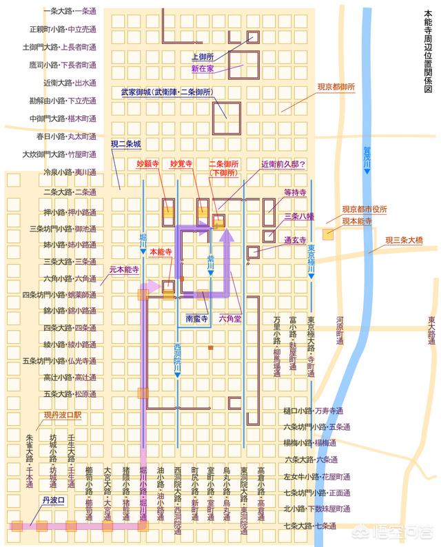 土佐金:土佐犬有哪些优点和缺点？为什么？