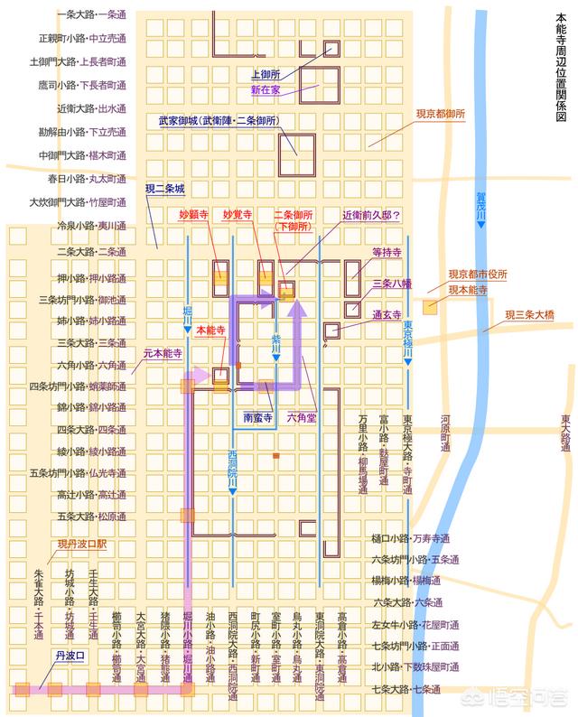 土佐金:土佐犬有哪些优点和缺点？为什么？