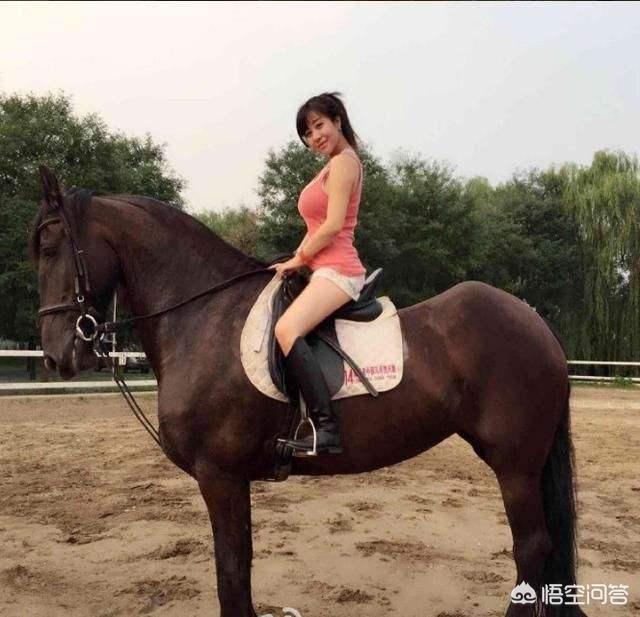 昆莱小雪人精良:二战期间日本有骑兵联队，那么多的“东洋马”是怎么来的？