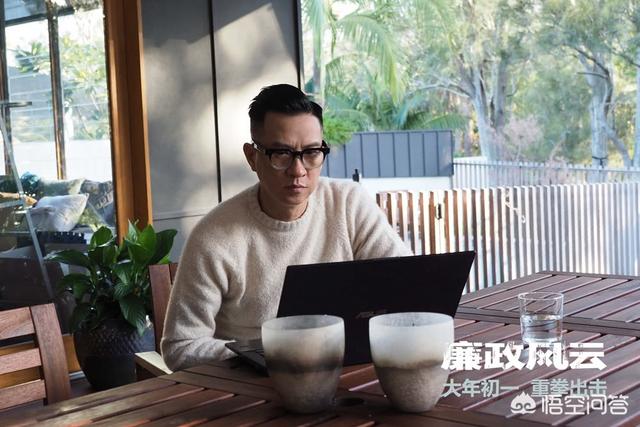 观鸟大年主演:电影《廉政风云》中有哪些容易忽视的细节？