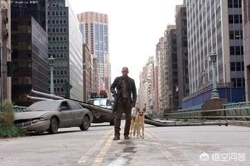 关于东德牧羊犬电影外国:近年来，有哪些没有在中国上映的好莱坞电影值得推荐？