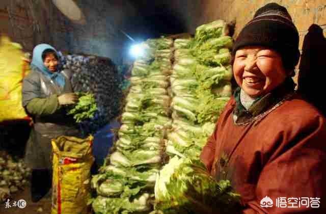 冬季蔬菜怎么处理好吃又不坏，在广大农村，冬天最容易储存的蔬菜有哪些？