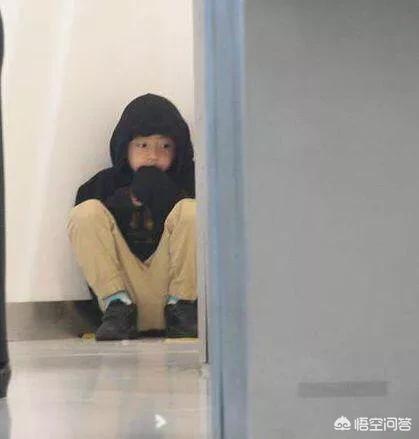 王菲张柏芝:如果你是谢霆锋，你选择王菲还是张柏芝