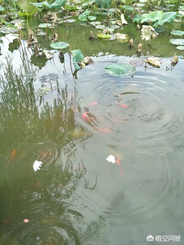 生活中有哪些让你顿时热泪盈眶的瞬间？