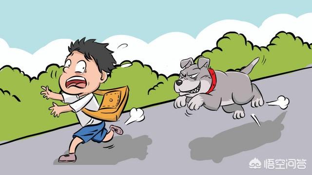 k9工作犬论坛:“男子打死咬伤女友的狗却被抓”，你觉得有道理吗？