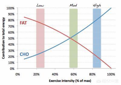 人体能量的主要来源是什么，运动时体内哪种能量最先参与消耗想消耗脂肪光靠跑步行不行