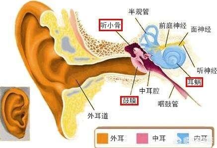 折耳鱼不呼吸前男友泳池视频:打完疫苗，你坚持三天不洗澡吗？