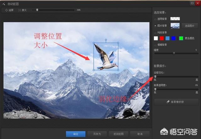 小鸟图片大全大图,野外拍鸟你是游走族还是坐地户？