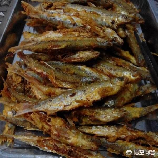 鱼肉狗粮的制作方法:鱼怎么做，猫咪才喜欢吃？ 干狗粮的制作方法