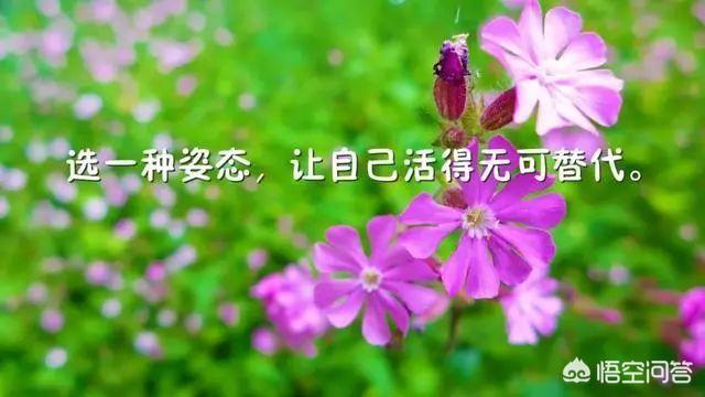 极度讨厌一个人是怎样的状态？