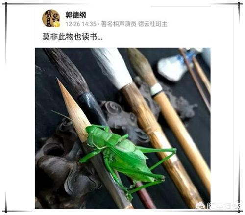 有人说苗阜发德云社演出旧照是暗讽郭德纲三俗,你怎么看？