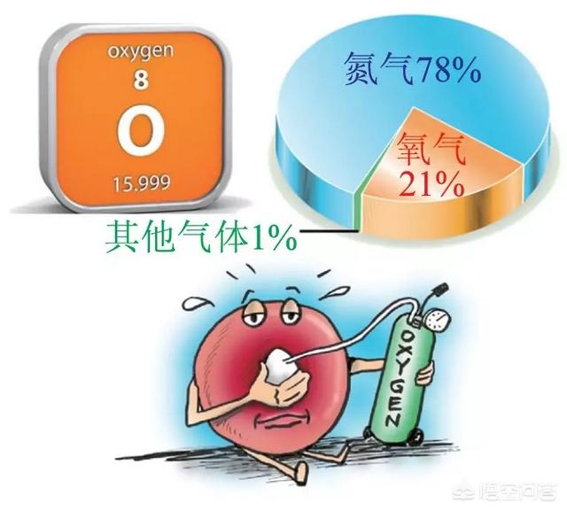 假如没有拉瓦锡推翻燃素说，现今自然科学会发生如何的变化？