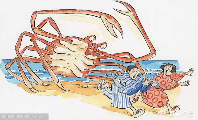 蜘蛛蟹能吃吗，甘氏巨螯蟹堪称世界上最大的螃蟹，传言可杀人，是真的吗