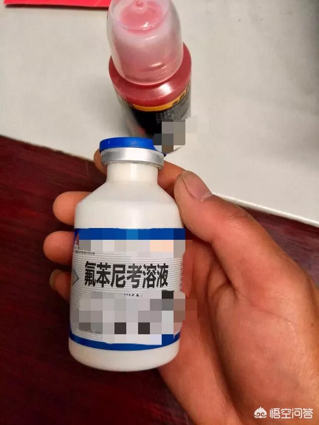 兽药托拉菌素的作用:伊维菌素注射液能让羊内服吗？