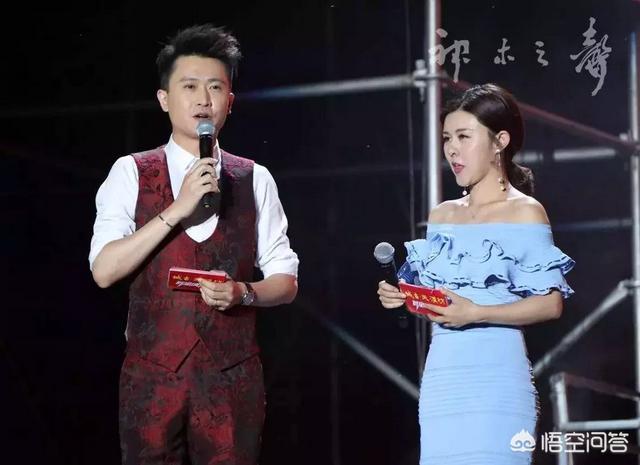 主持人杨帆:主持人杨帆为何无缘春晚？
