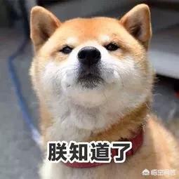 怎么才能看得见深海鱼？