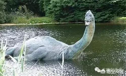 喀纳斯水怪:通过最近的三峡水怪事件是不是可以认定其他“水怪”也是虚无的？