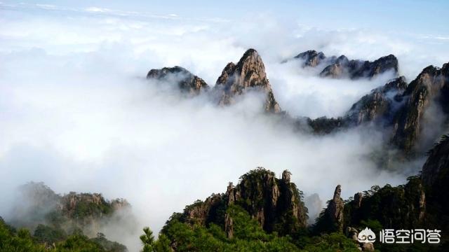 从上海出发去黄山旅游有什么旅游攻略？