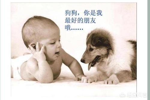 猫白血病传染婴儿:猫咪的病会传染给人吗？会传染的话是哪些病呢？