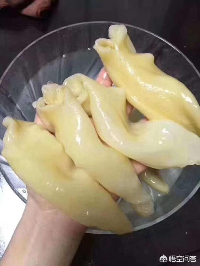 花胶煲汤,用鱼鳔煲汤的做法是什么？