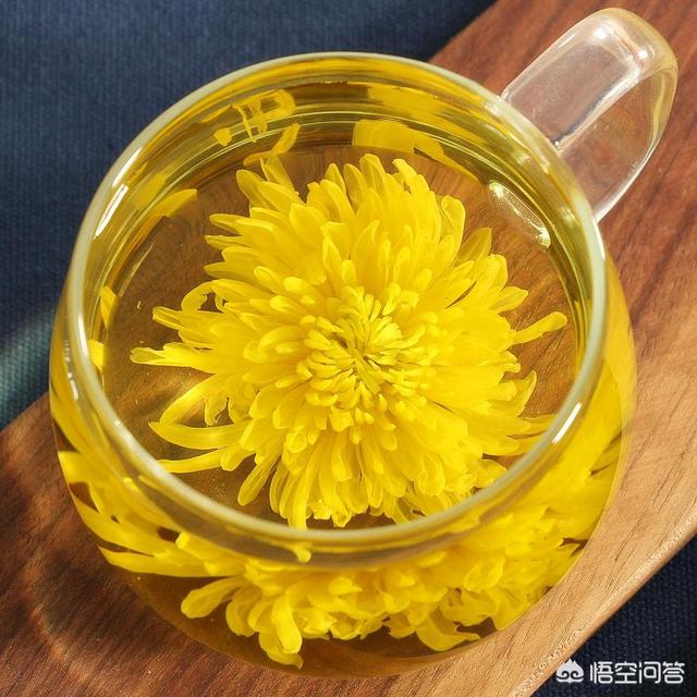 非洲菊图片:在农村种植观赏菊花赚钱吗？要种好菊花，选择什么品种更好呢？