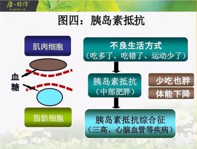 饮食结构的改善真的可以降血糖吗？